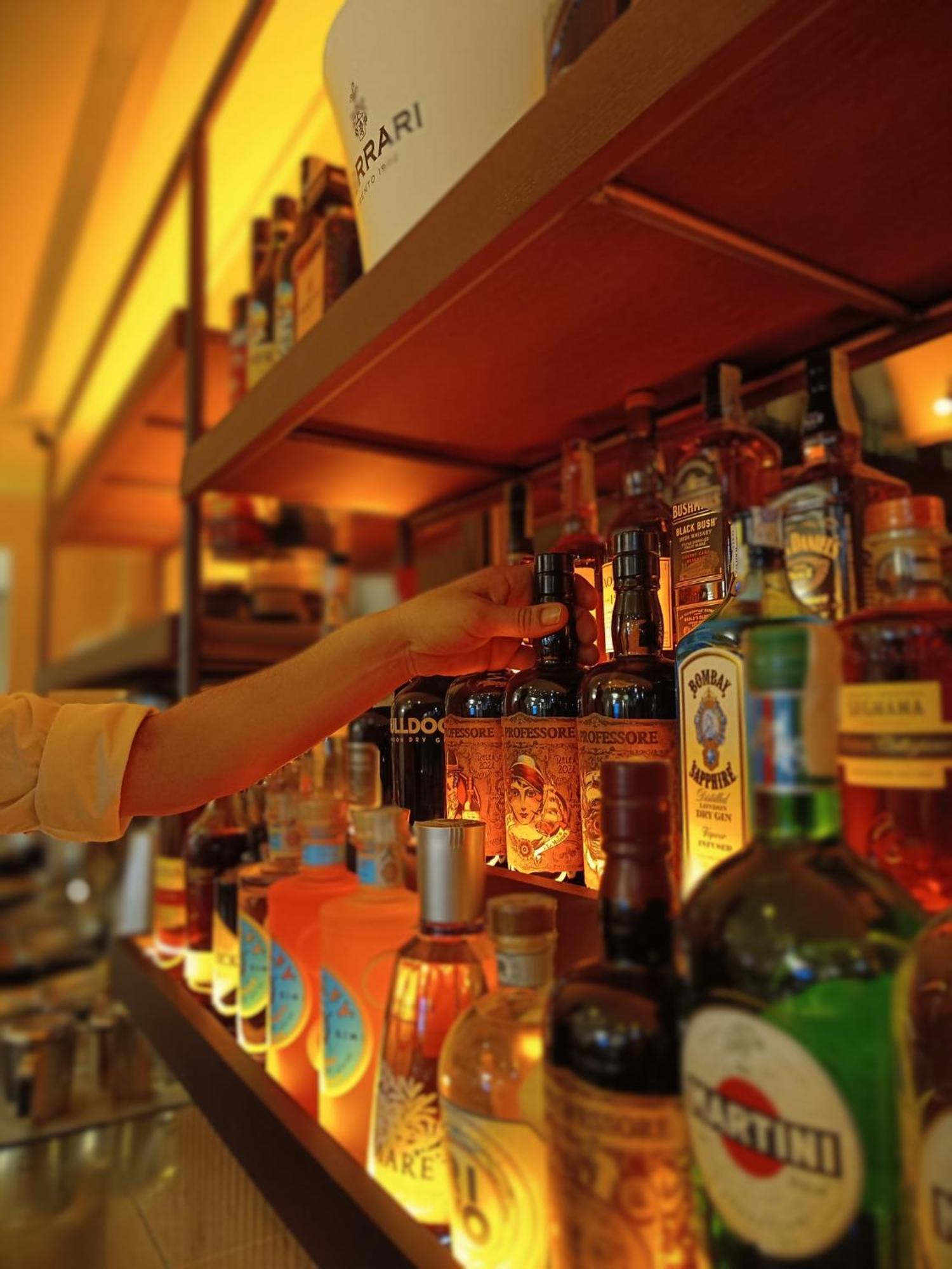 萨龙诺白杨林酒店 外观 照片